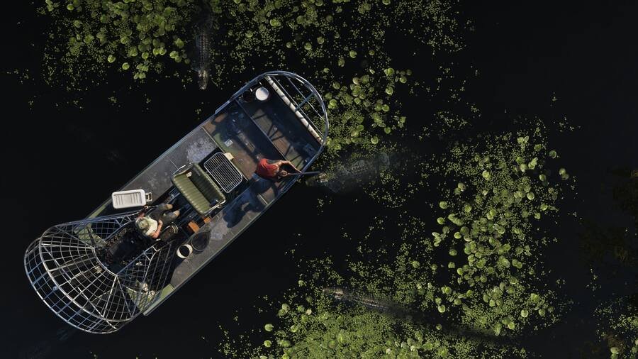 GTA 6 GTA 6